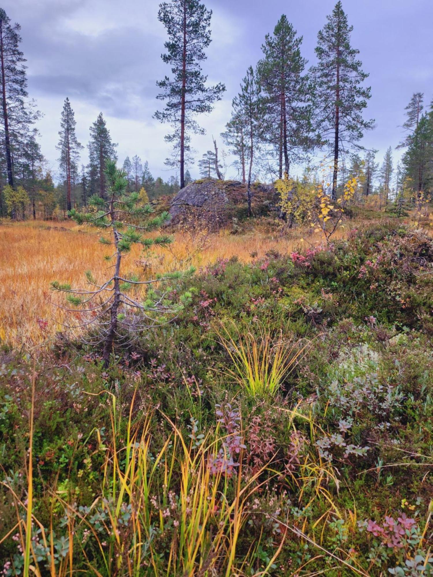 NamsskoganGranheim别墅 外观 照片